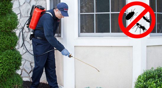 Gündoğmuş Hamam Böceği İlaçlama böcek ilaçlama ve haşere kontrolü — ilaclama-tr.com